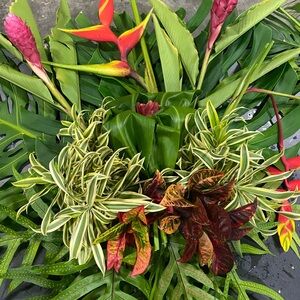 Extra Shipping Label